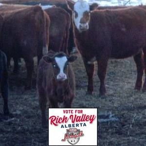 Meet your Posher, Robin